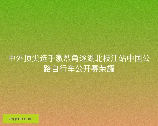 中外顶尖选手激烈角逐湖北枝江站中国公路自行车公开赛荣耀